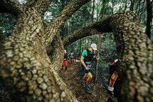 BIB: 
                            <button type="button" onclick="openModal(25393160)" class="btn btn-primary btn-sm float-right btn-popup" data-toggle="modal" data-target=".modal-high-quality">
                        <i class="fas fa-shopping-cart"></i> Add to Cart
                    </button>
                                            <button type="button" onclick="isThisMe(25393160, true)" class="btn btn-success btn-sm float-right btn-popup btn-isme hidden" data-toggle="tooltip" data-placement="bottom" title="นี่คือรูปของคุณใช่ไหม คลิกที่นี่เพื่อเอาเข้าอัลบั้ม">
                        <i class="fas fa-plus"></i> Add to album
                    </button>
                    <button type="button" onclick="isThisMe(25393160, false)" class="btn btn-warning btn-sm float-right btn-popup btn-isnotme hidden">
                        <i class="fas fa-ban"></i> Remove from album
                    </button>